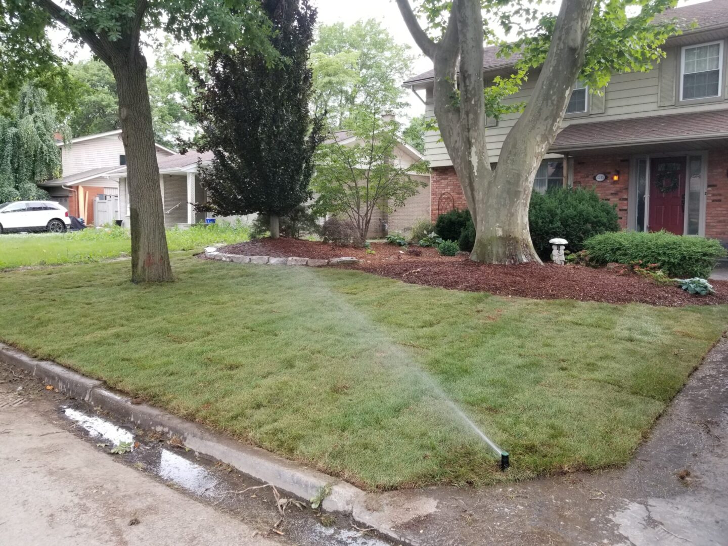 Update landscape and install new lawn A11