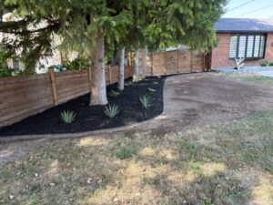 Residential Landscaping_Tree_Bed_After