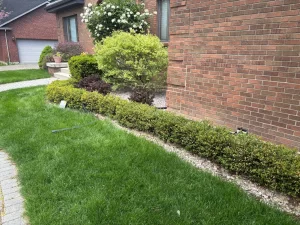 Residential landscape