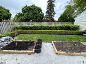 Raised_Beds_After