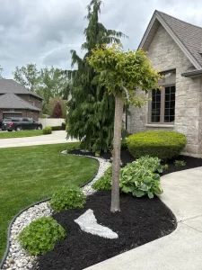 Residential property Landscape