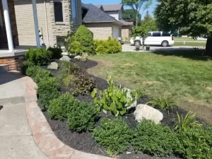 Residential landscape