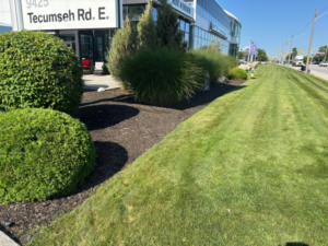 Commercial Landscaping