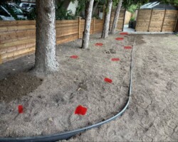 Residential Landscaping_Tree_Bed_BeforeAfter